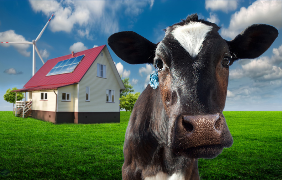 Real estate as an investment for milking
